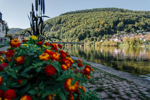 Neckargemünd im romantischen Neckartal